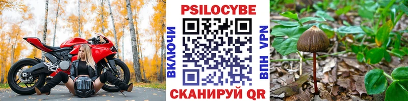Галлюциногенные грибы MAGIC MUSHROOMS  Унеча 