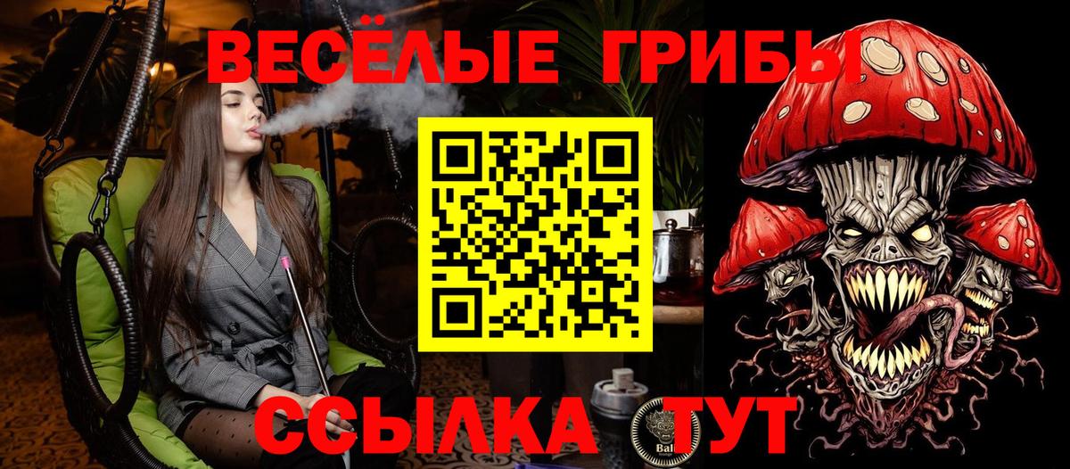 Псилоцибиновые грибы мицелий  Вход с VPN  Псилоцибиновые грибы Cubensis  Унеча 