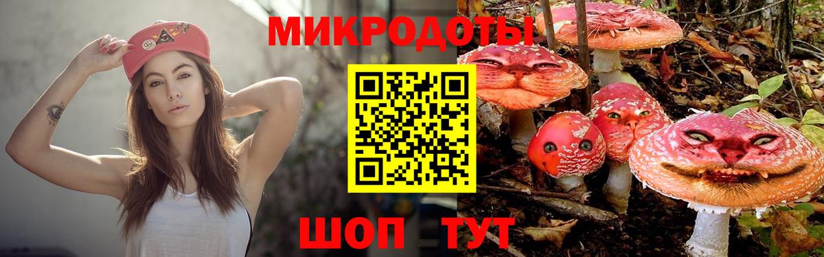 Галлюциногенные грибы Psilocybine cubensis Унеча